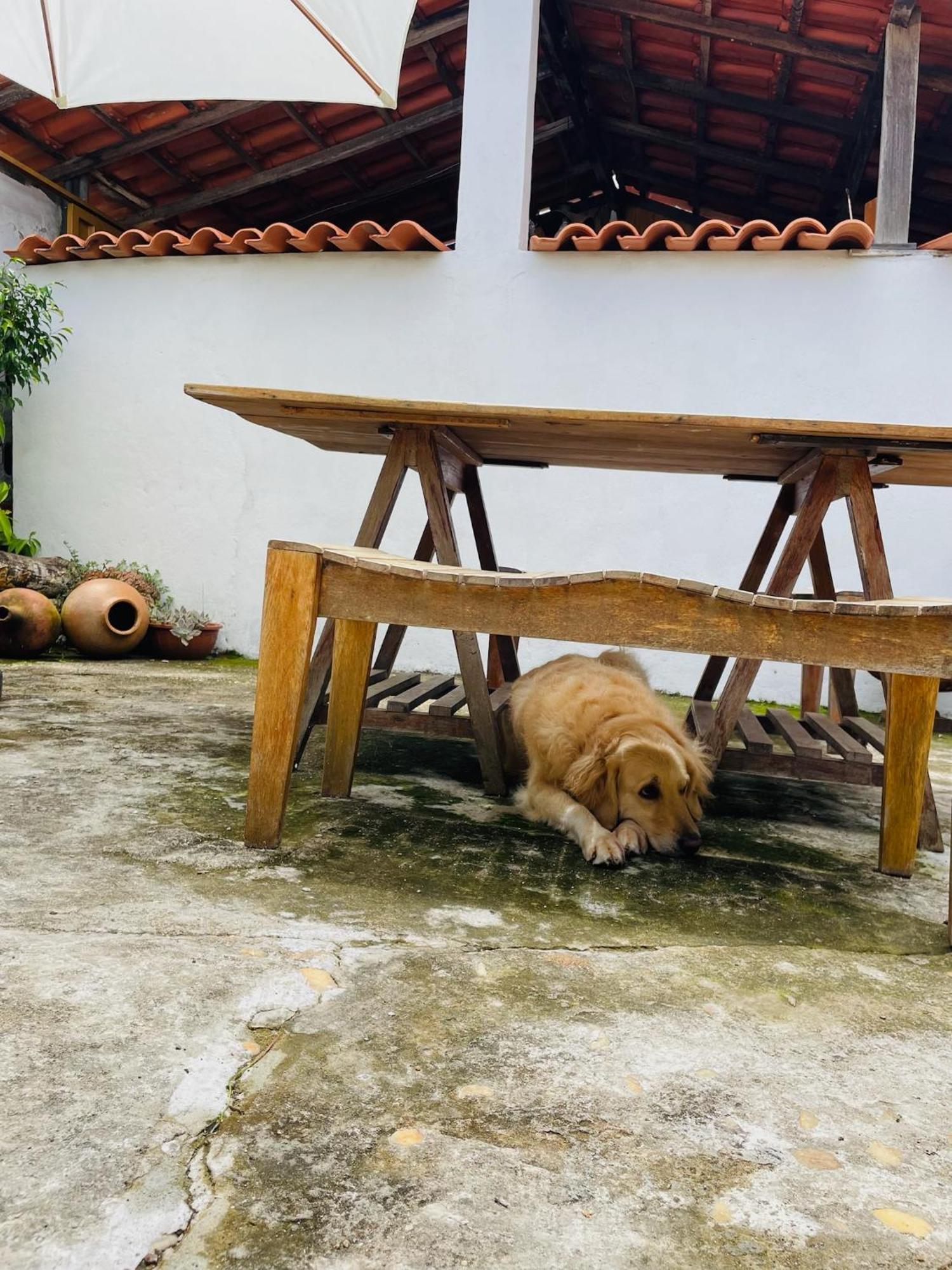 Casinha 87 Villa Tiradentes Eksteriør billede